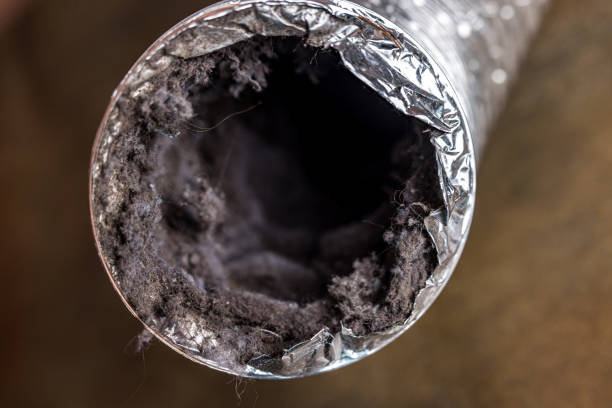 Best Affordable HVAC Duct Cleaning  in Hazlehurst, MS