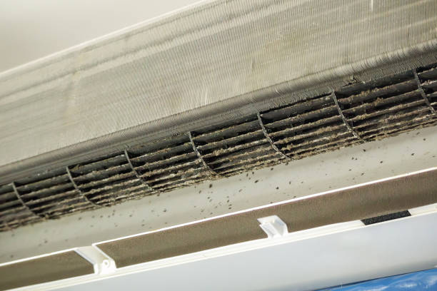 Best HVAC Duct Inspection Services  in Hazlehurst, MS